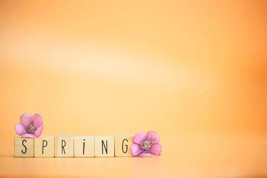 Spring Text on bright pastel colored orange background with colorful flowers, Happy spring,greeting card,season concept with copy space, retro modern design space for text