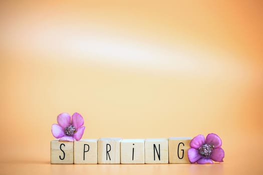 Spring Text on bright pastel colored orange background with colorful flowers, Happy spring,greeting card,season concept with copy space, retro modern design space for text