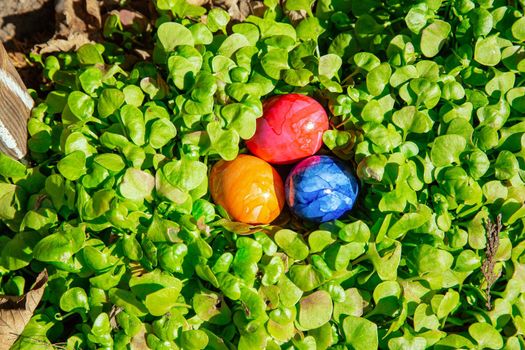 Easter eggs hidden in the grass, Colorful handmade painted Easter eggs hunt, Happy Easter Holiday concept in garden or park, spring