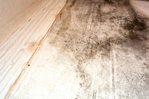 Black mold in the corner, old ceiling of building, water damage causing mold growth, dangerous toxic fungus in the room, needs renovation house, copy space close up background