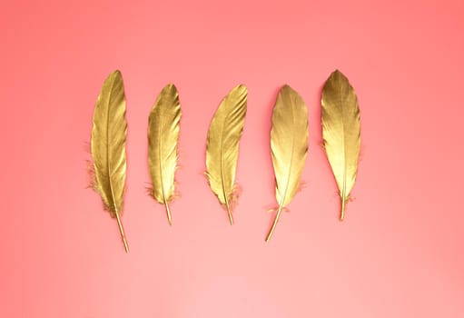 Gold shiny feathers in a row on pastel pink background, Flat lay, retro,modern,colorful stylish concept top view. design element wallpaper copy space bright fresh color