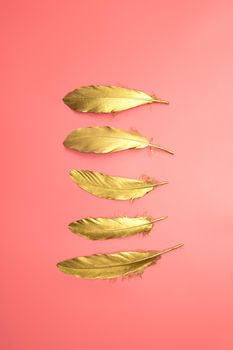 Gold shiny feathers in a row on pastel pink background, Flat lay, retro,modern,colorful stylish concept top view. design element wallpaper copy space bright fresh color