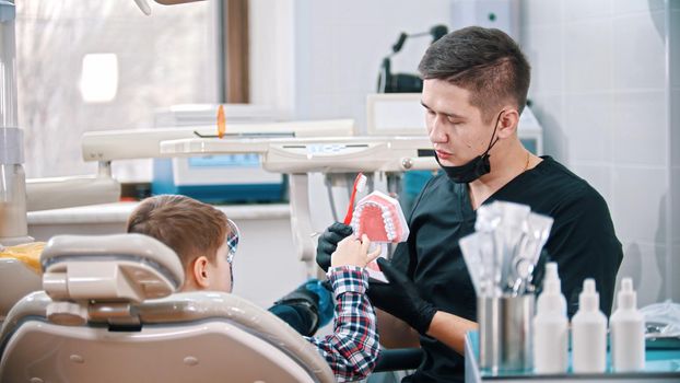 Man dentist showing a plastic model of jaws to a little boy at his treatment. Mid shot