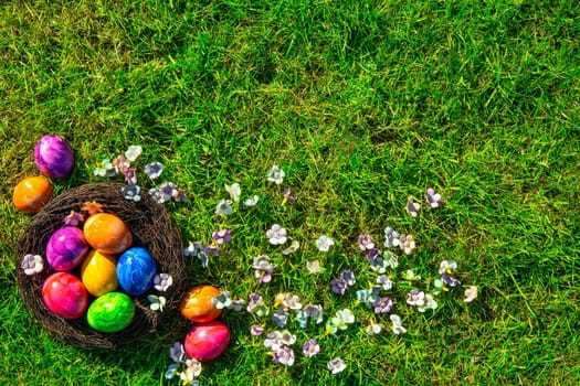 Colorful painted Easter eggs in nest on fresh green grass top view, Happy Easter Holliday concept background with copy space, spring and space for text