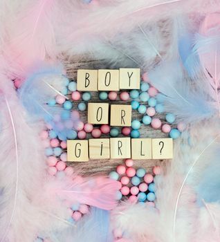 Boy or Girl text surrounded with pastel colored feathers, Gender reveal gathering party concept. Baby announcement. Flat lay,text space. background texture greeting card