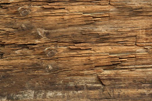 very Old wooden plank damaged by salted sea water, visible wood grain and knots. very old timber texture. warm day lighting