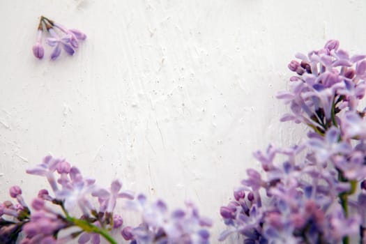 Border of fresh lilac flowers isolated on white background. mocup of lilac on white background