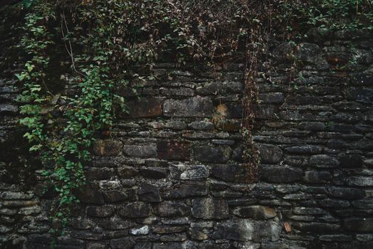 Wall from small dark stones with green plants, background. Space for text in right part of image