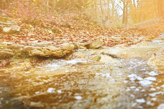 Small river in autumn forest, nature background. Image with sunlight effect.