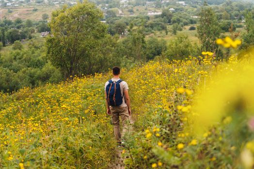 Traveler man with backpack walking on summer flower meadow, rear view
