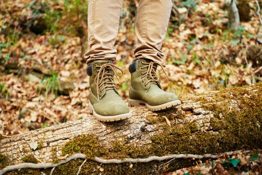 Hiker woman standing on fallen tree trunk in autumn forest, view of legs. Hiking and leisure theme