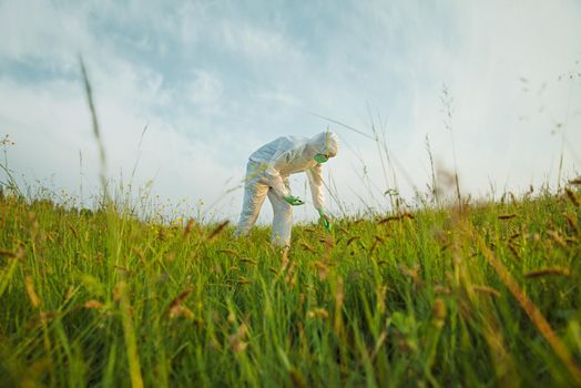 Male scientist in protective uniform analyzing green plants on summer field