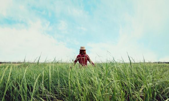 Hipster girl in straw hat walking on summer meadow, rear view. Concept of happiness and carefree
