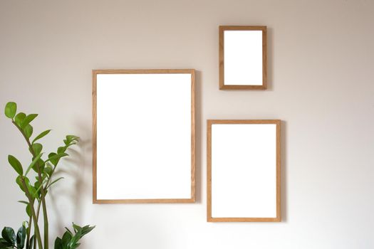 Interior design of living room with two brown mock up photo frame on modern wall, blank canvas with beautiful plant Elegant personal accessories. copy space, stylish decoration beauty
