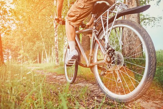 Unrecognizable man riding on bicycle in summer park at sunny day. Image with sunlight effect