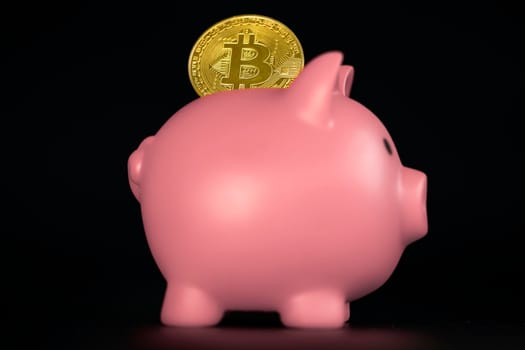 Golden Bitcoin with piggy bank. Cryptocurrency investment concept. virtual money. Cryptocurrency saving piggy bank financial banking concept on black background financial