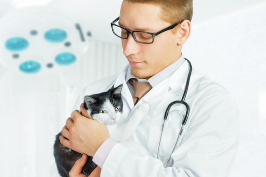 Man doctor veterinarian in a glasses holding a cat in hospital