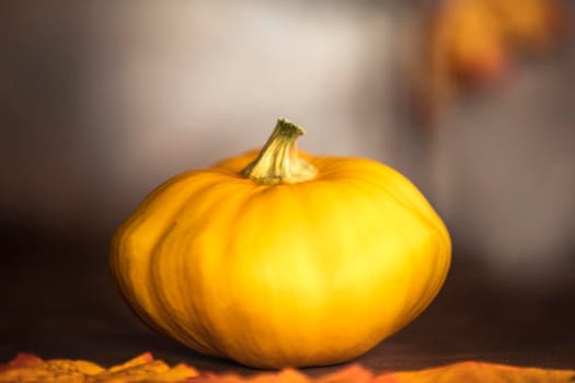 ripe pumpkin and autumn leaves on wooden table on brown background with copy space decorative colorful design space for text