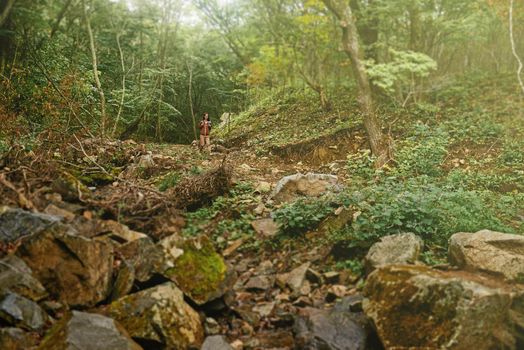 Hiker young woman walking in beautiful summer forest