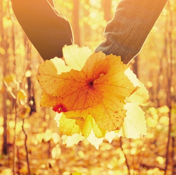 Close-up image of hands loving couple with autumn leaves. Image with sunlight effect.