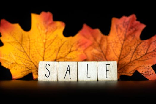 Sale and Blackfriday concept text with autumn discount sale,Seasonal Offer on black background with colorful autumn leafs closeup