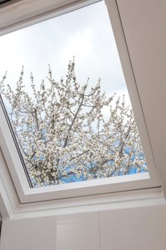 A modern open skylight,mansard window against blue sky with beautiful tree with white flowers, modern new house design, architectural detail closeup