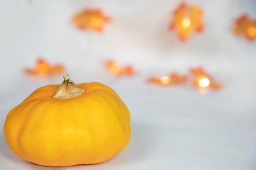 Autumn border arrangement of orange pumpkin and colorful leaves with bokeh lights a off white background, bright modern decoration, copy space space for text