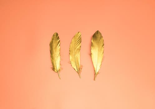 Set of luxury gold shiny feathers on orange peach background top view modern design with copy space, decorative fantasy bird beauty colors