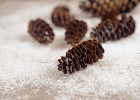 Pinecones on the snow, close-up, side view