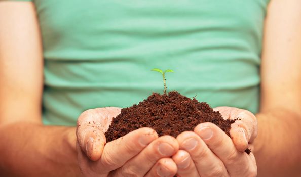 Unrecognizable man in green shirt holding a small plant. Eco concept