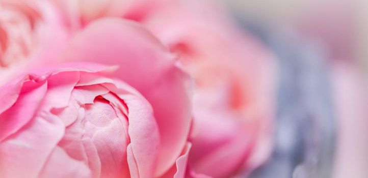 Botanical concept, wedding invitation card - Soft focus, abstract floral background, pink rose flower petals. Macro flowers backdrop for holiday design