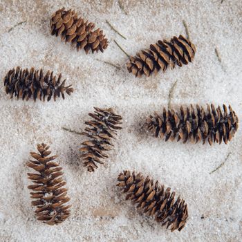 Pinecones on the snow, top view