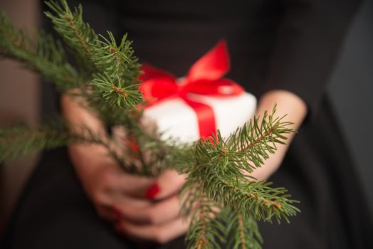 Unrecognizable woman is holding branch of Christmas tree and gift