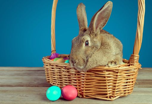 Easter brown bunny sits in a basket with colored eggs on a wooden table