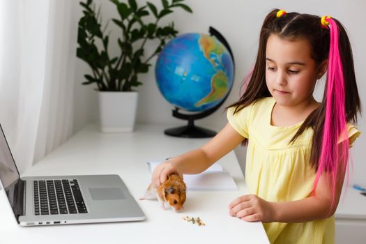 Cheerful young little girl with a pet hamster using laptop computer studying through online e-learning system at home. Distance or remote learning