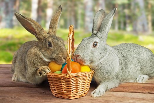 Two Easter rabbits in a basket with colored eggs outdoor