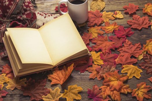 book blanket near coffee leaves