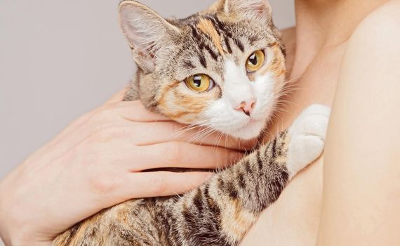Unrecognizable woman holds orange tabby cat