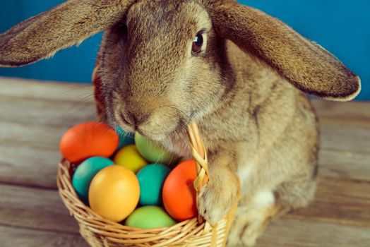 Cute Easter bunny holds a basket of colored eggs