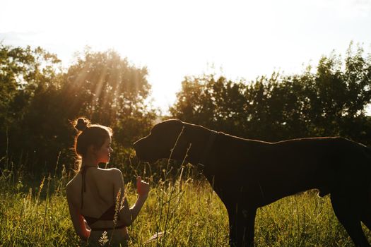 cheerful woman playing with a dog in a field in nature in summer. High quality photo