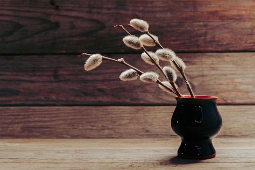 Pussy willow branches with fluffy buds in vase on a wooden table