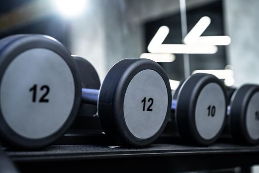 Close up photo of new dumbbells on a rack in a gym