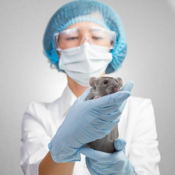 Veterinarian woman holding a rat
