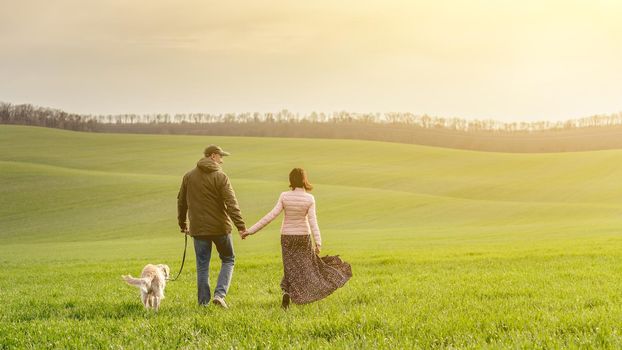 Back view of couple walking cute dog on spring field