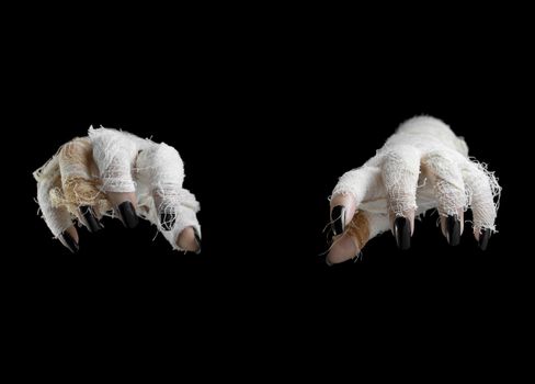 Horror hands mummies on dark gradient background.