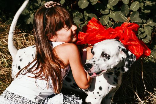 The girl received a Dalmatian dog with a bow for her birthday