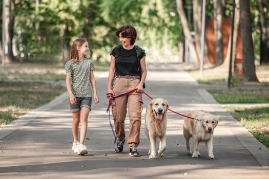 Family walking with golden retriever dogs in the park. Mother, daughter and two doggy pets outdoors at summer