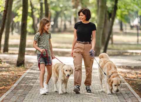 Mother and daughter with golden retriever dogs walking in the park. Family with pets doggies outdoors