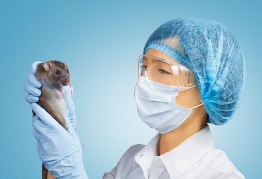 Young woman veterinarian or laboratory assistant holds a rat