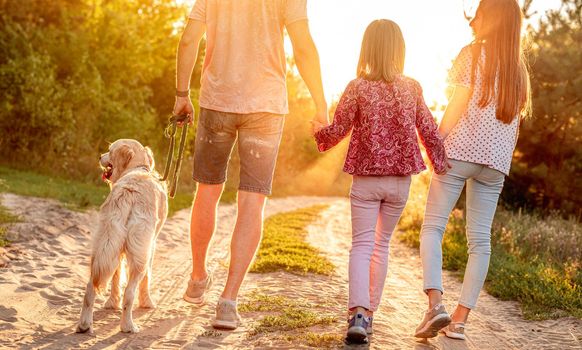 Rear view of daughters with father and dog walking holding hands in nature at sunset